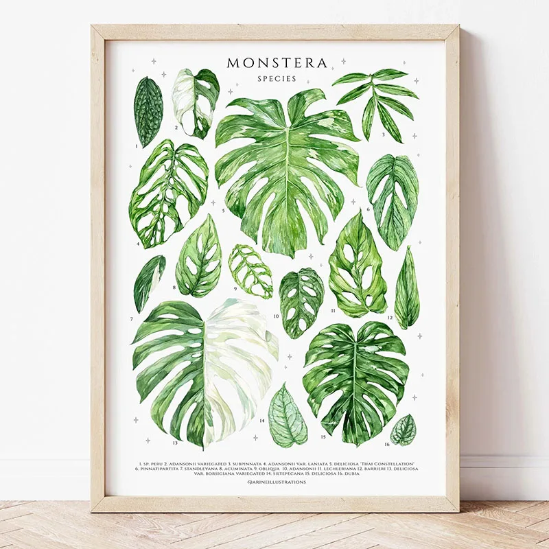1pc Modern Houseplants Leaves  - Home Office Youtube recension och pris